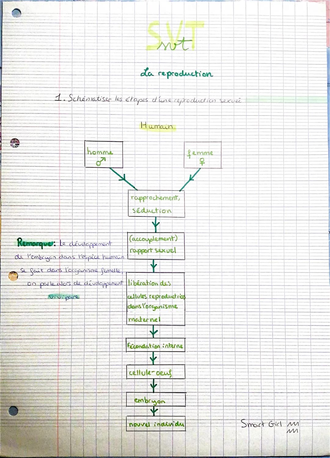 La reproduction.
1. Schématisce les étapes d'une reproduction sexuee
homme
84
sot
Remarque: Le développement
de l'embryon dans l'espèce huma