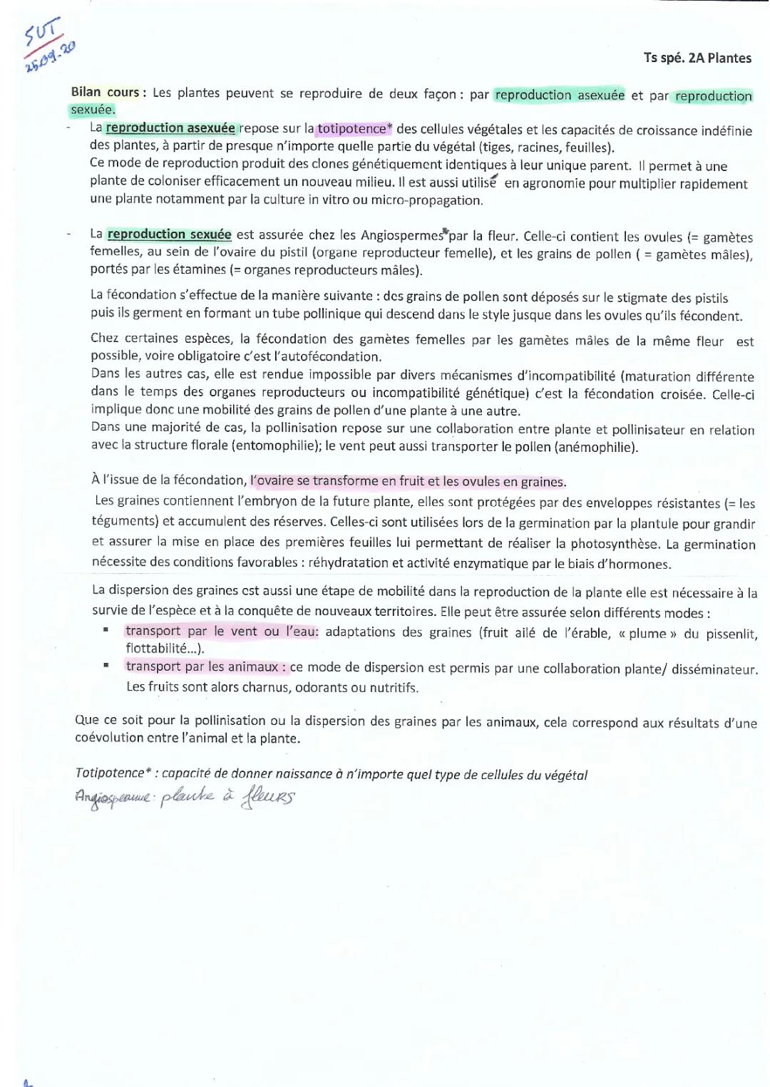 Type de reproduction des plantes : Schéma et PDF sur la reproduction sexuée et asexuée des angiospermes