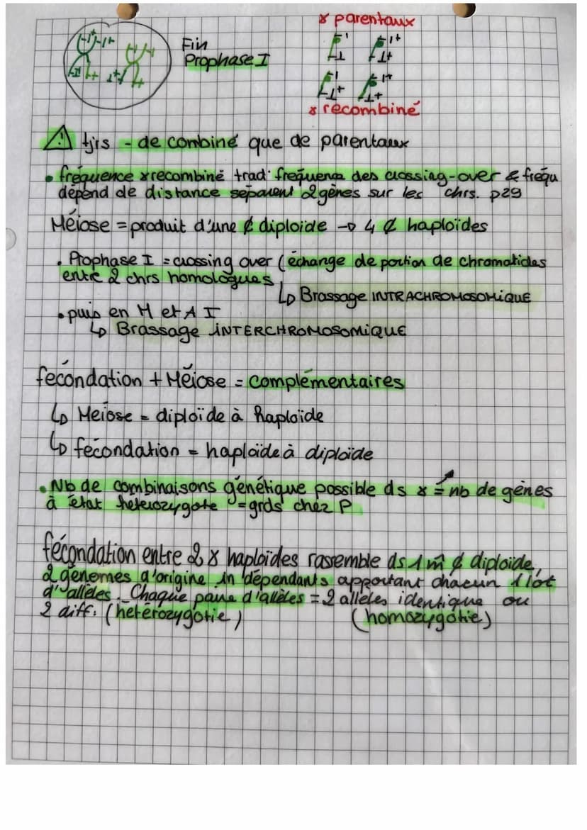 3
O
es lies (linkage)
Brassage avec genes
2 races pures drasophile
P dr. sauvage
X Pdr. phénotype alternatif
F1 dros. hybride
=>
La F1 posse