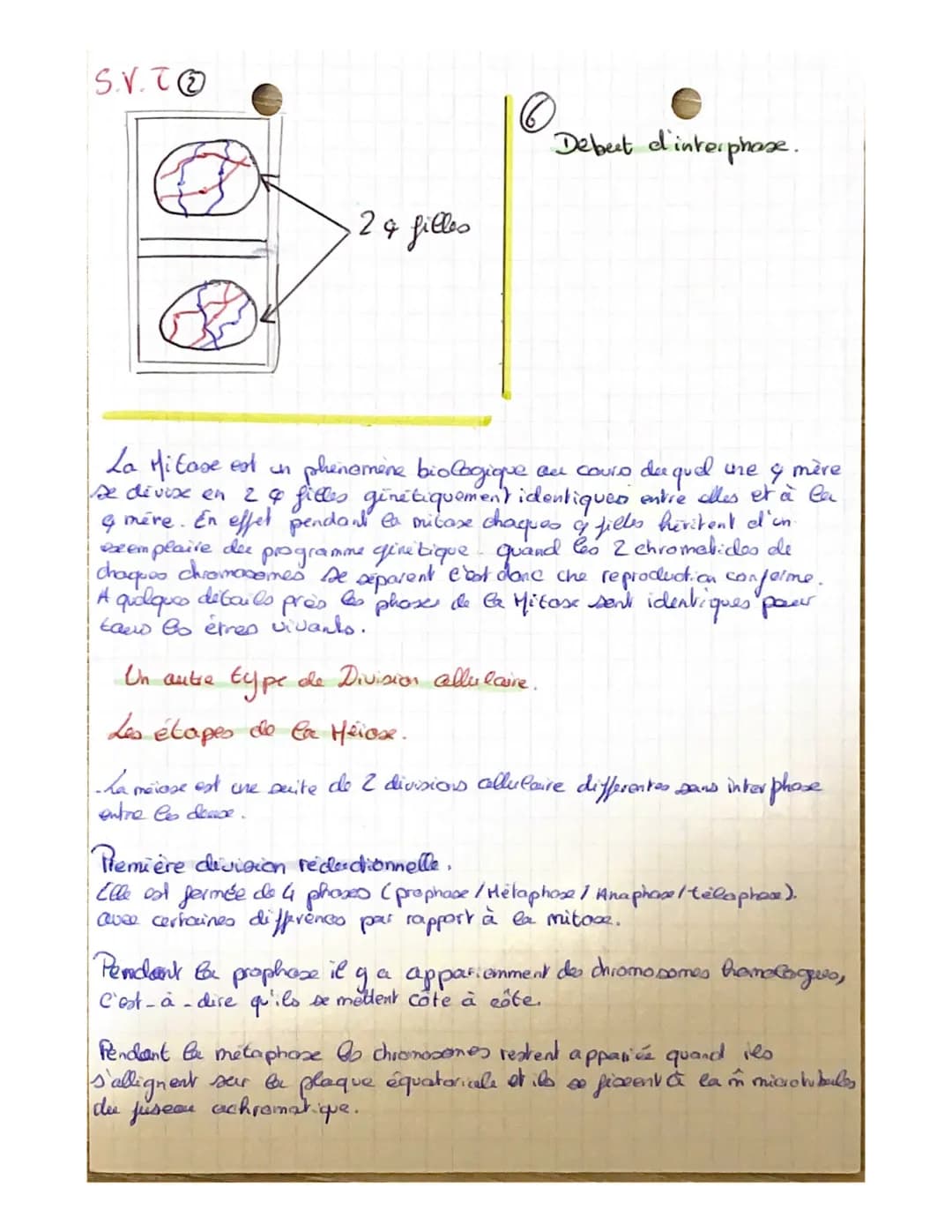 S.V.T
●Programine Génétique.
Les divisions & Cle Caires;
ent les mêmes gines
tous les individus D'une même espèce.
portés par es mêmes chrom