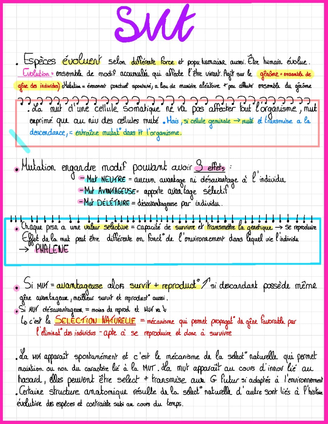 Découvre l'Évolution de l'Œil Humain et ses Mystères!