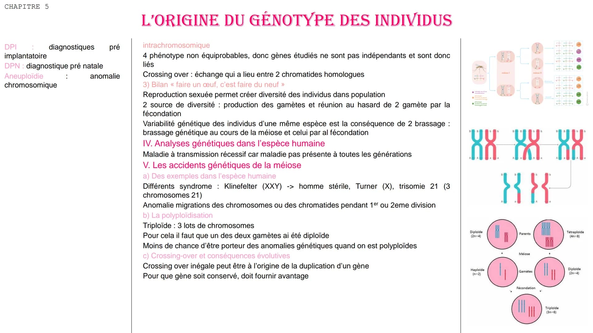 CHAPITRE 5
DEFINITIONS
Phénotype : ensemble des
observables
caractères
différentes
à
échelles
cellulaire et
macroscopique
moléculaire
Génoty
