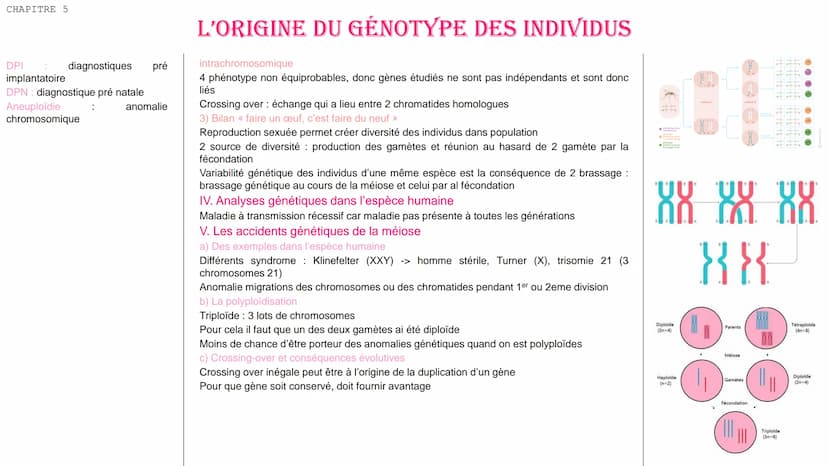 CHAPITRE 5
DEFINITIONS
Phénotype : ensemble des
observables
caractères
différentes
à
échelles
cellulaire et
macroscopique
moléculaire
Génoty