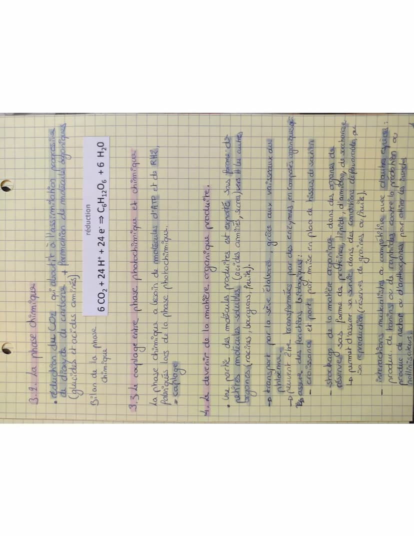 3.2. La
phose
chimique
• reduction du co₂ qui aboutit à l'assimilation proces, ine
de dioxyde de carbone + Pormation de molecule ogoniques
(