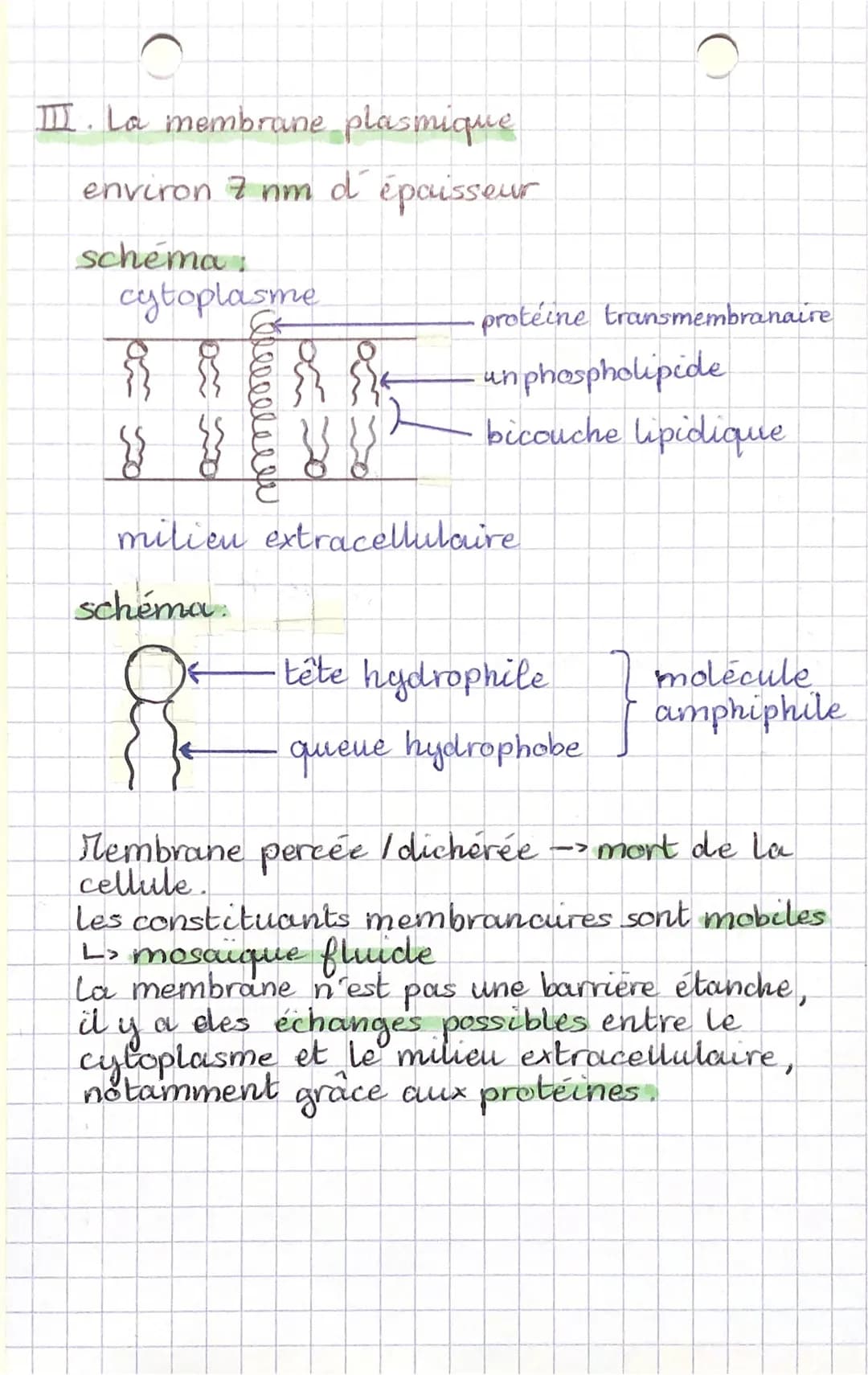 ES-SUTS
Une structure complexe : la cellule
Mots clés du chapitre: Cellule, organite
theorie cellulaire, MET, MEB, membrane
plasmique, hydro