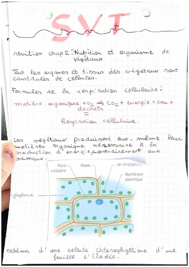 Know nutrition et organisme de végétaux  thumbnail