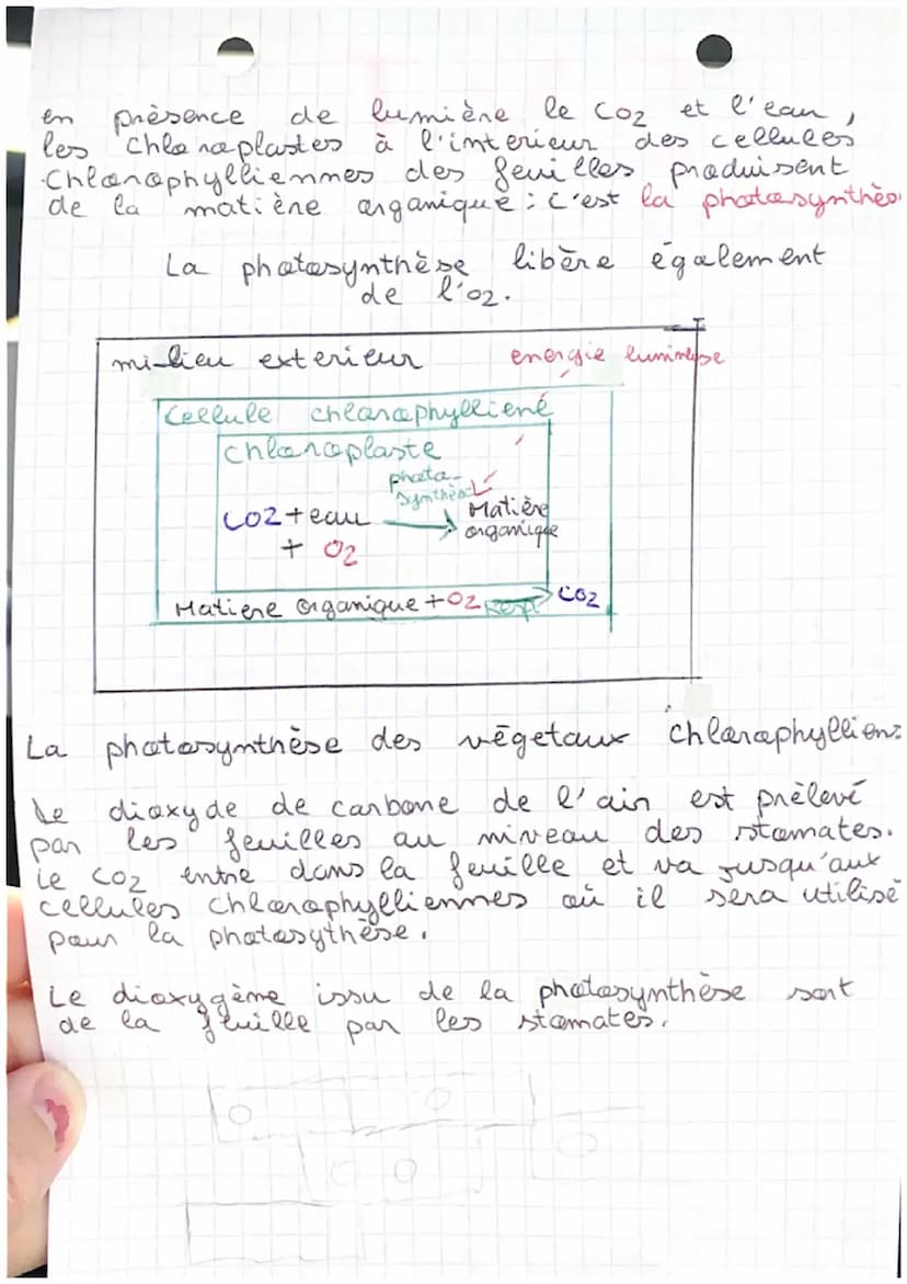 SKL
revitian chap 2: Nutrition et organisme.
végétaux
Tout les organes et tissus des végétaux sont
Constituées de cellules.
Formules de la r