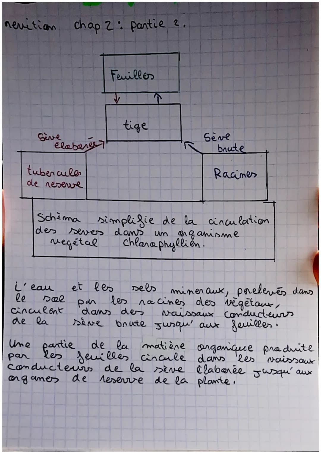 SKL
revitian chap 2: Nutrition et organisme.
végétaux
Tout les organes et tissus des végétaux sont
Constituées de cellules.
Formules de la r