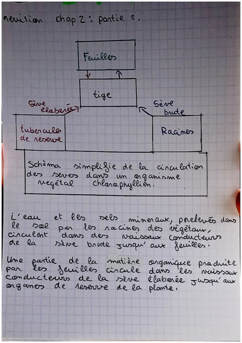 SKL
revitian chap 2: Nutrition et organisme.
végétaux
Tout les organes et tissus des végétaux sont
Constituées de cellules.
Formules de la r