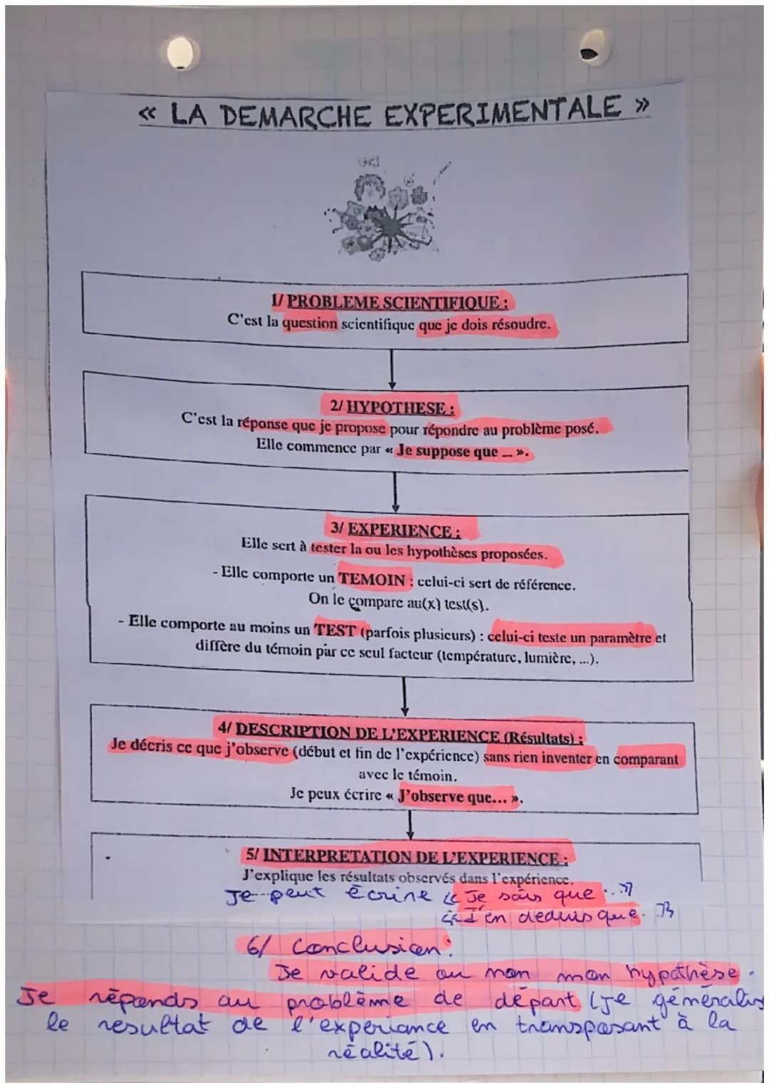 SKL
revitian chap 2: Nutrition et organisme.
végétaux
Tout les organes et tissus des végétaux sont
Constituées de cellules.
Formules de la r