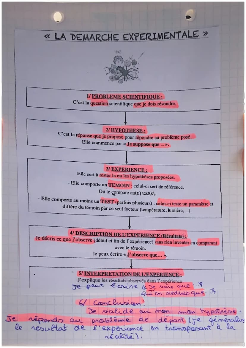 SKL
revitian chap 2: Nutrition et organisme.
végétaux
Tout les organes et tissus des végétaux sont
Constituées de cellules.
Formules de la r
