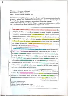 Know analyse linéaire chapitre 3 candide voltaire thumbnail