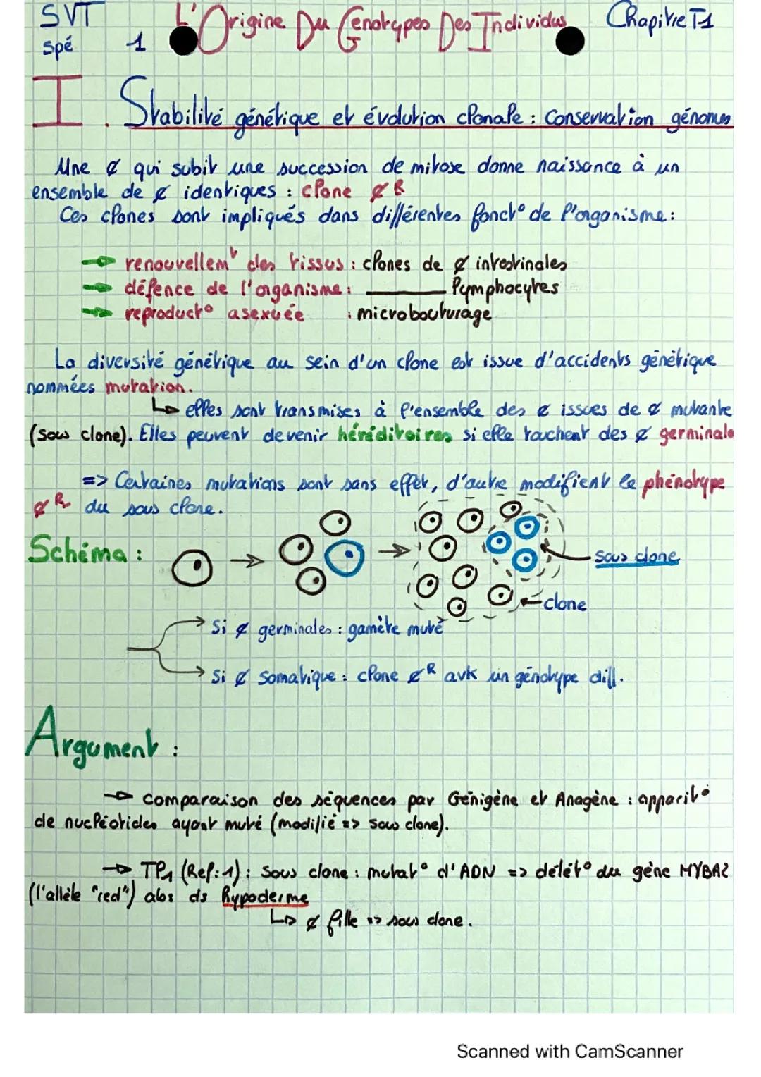 génétique: L’organisation du génotype des individus 