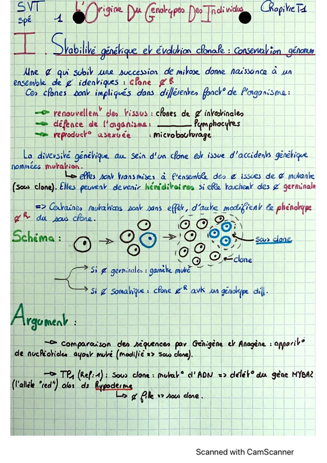 SVT
Spé
Origine Du Genotypes Des Individus Chapitre 11
1
I Stabilité génétique et évolution clonale : Conservation génorum
Une & qui subit u