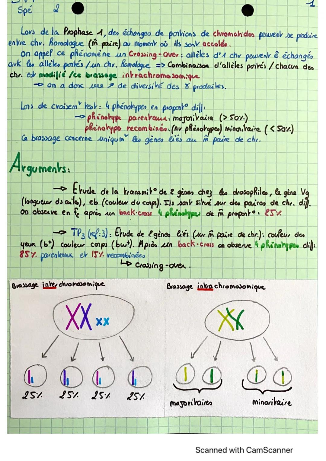 SVT
Spé
Origine Du Genotypes Des Individus Chapitre 11
1
I Stabilité génétique et évolution clonale : Conservation génorum
Une & qui subit u