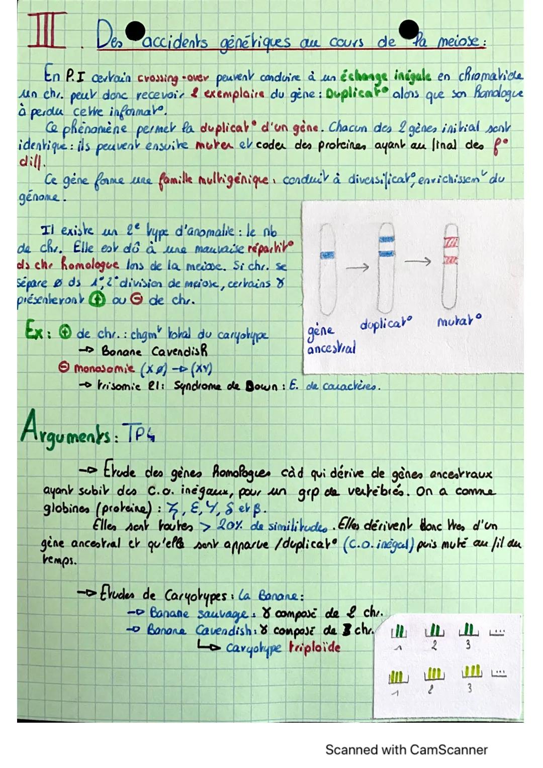 SVT
Spé
Origine Du Genotypes Des Individus Chapitre 11
1
I Stabilité génétique et évolution clonale : Conservation génorum
Une & qui subit u