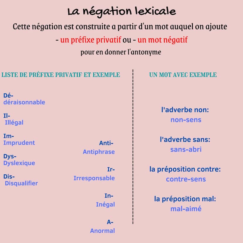 La négation
grammaire bac de français Il y a 2 types de négation:
-
· La négation lexicale
construite autour d'un mot
- La négation syntaxiq