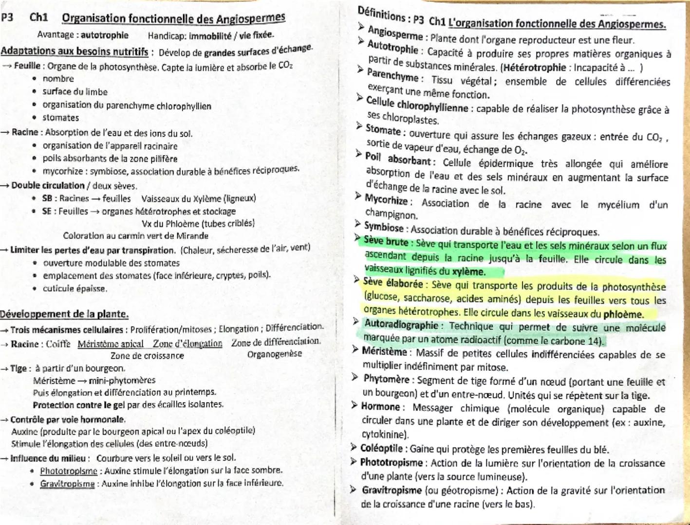 P3 Ch1
Organisation fonctionnelle des Angiospermes
Avantage: autotrophie Handicap: immobilité / vie fixée.
Adaptations aux besoins nutritifs