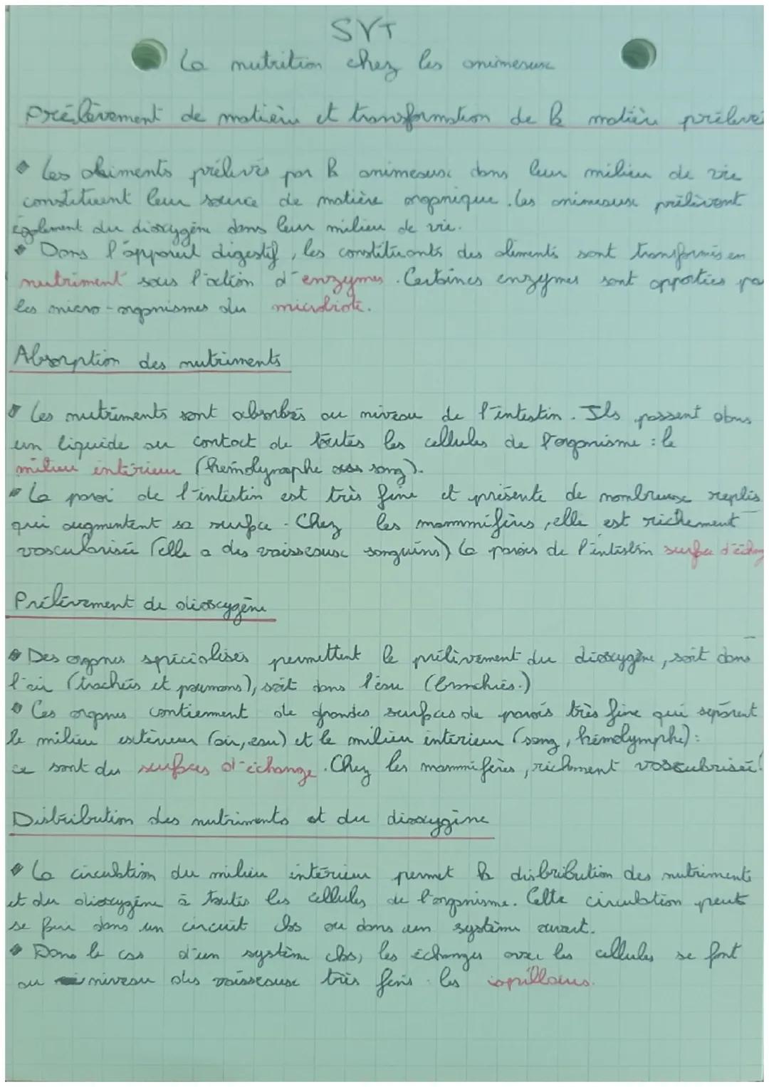 SYT
La nutrition chez les animesure

Prélèvement de matière et transformation de la matière pribave

*   les akiments prélevés por Banimesus