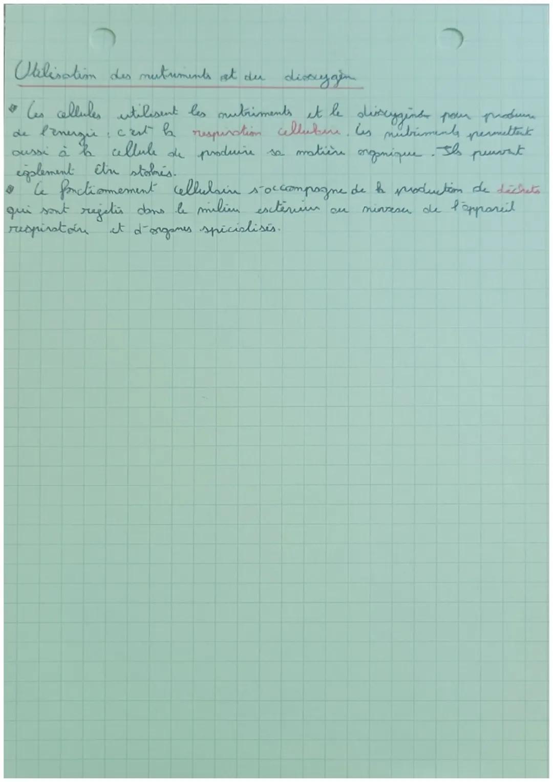 SYT
La nutrition chez les animesure

Prélèvement de matière et transformation de la matière pribave

*   les akiments prélevés por Banimesus