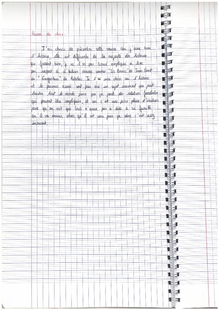 Phrase d'accroche
Pour I'entretien, j'ai choisi I ceuvre Juste la fin du
Monde de Jean Luc lagarce. C'est une seuvre du 20ème siècle
qui app