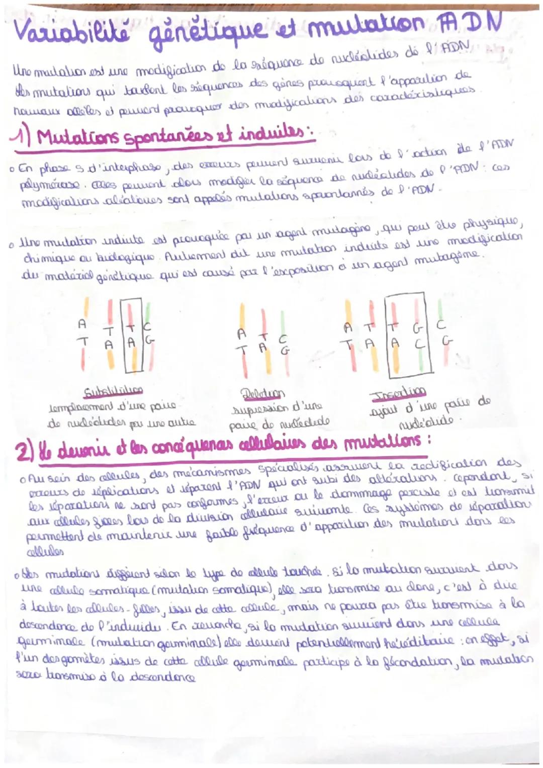 Variabilité génétique et mulation PADN
Uno mutation est une modification de la réquence de nucléatides de l'ADN
tes mutations qui tachent le
