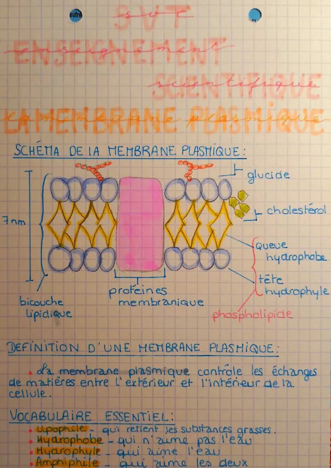 la membrane plasmique 
