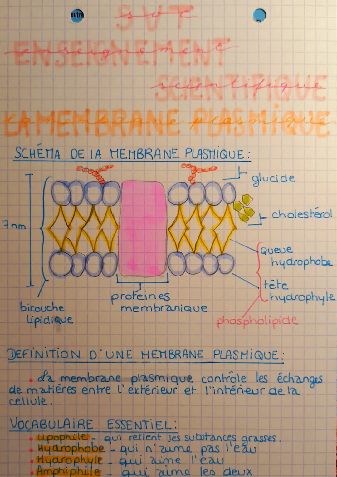 tot
Enseigne hent
outre
Scientifique
KAMEMBRANE acasmique
SCHEMA DE LA MEMBRANE PLASMIQUE:
egoce
ooch
7nm
0000
bicouche
lipidique
a
profeine