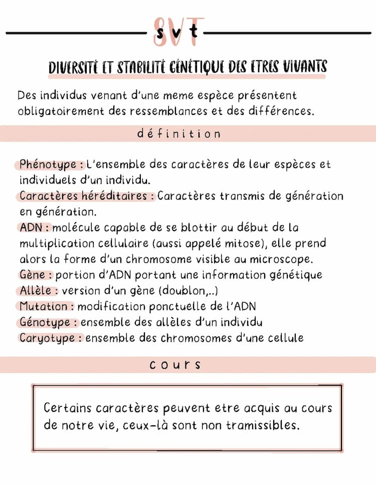 Know Diversité et stabilité génétique des individus thumbnail