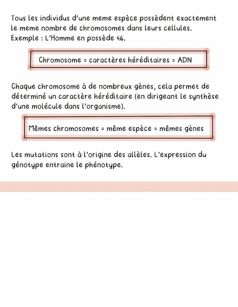 OUT
DIVERSITÉ ET STABILITÉ GÉNÉTIQUE DES ETRES VIVANTS
Des individus venant d'une meme espèce présentent
obligatoirement des ressemblances e