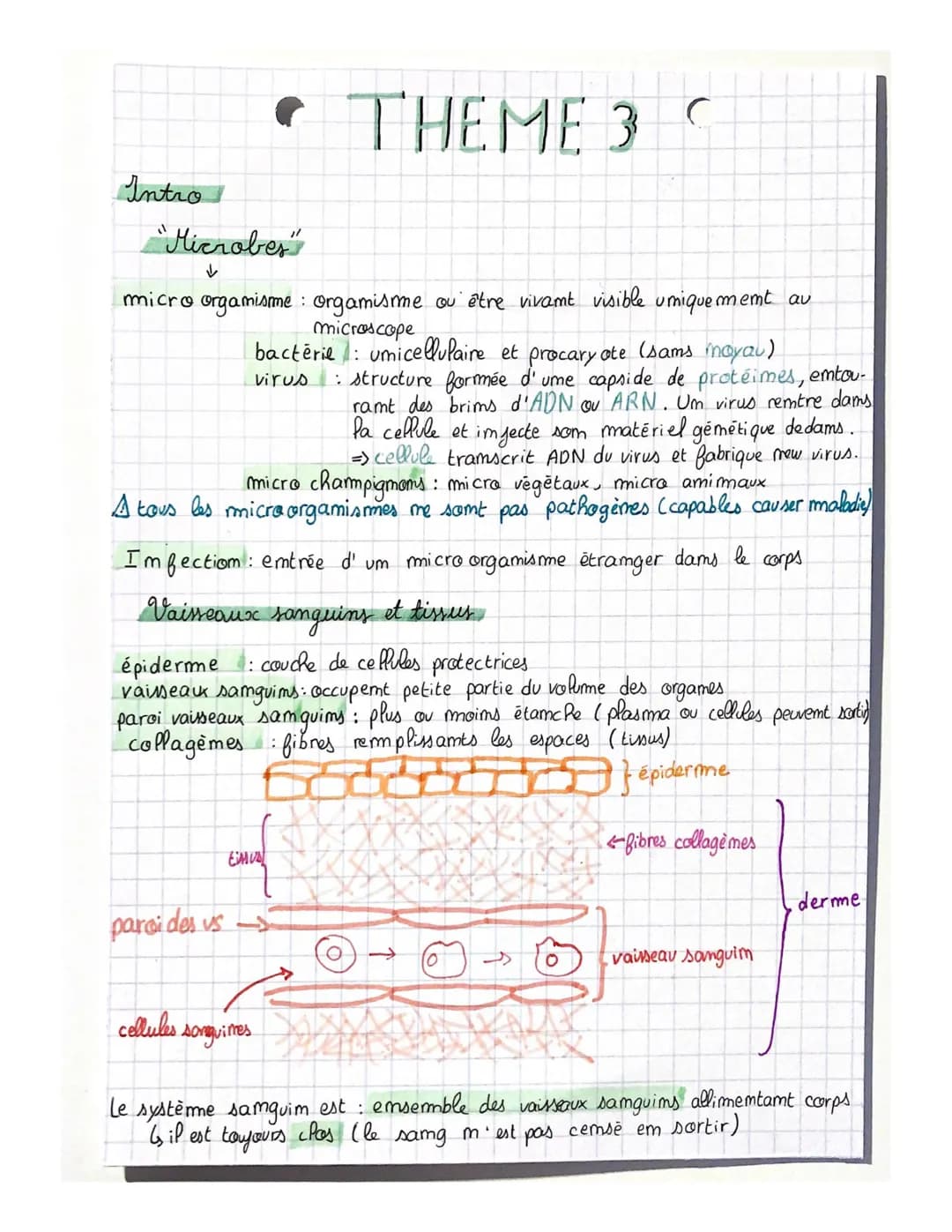 Intro
"Microbes"
micro orgamisme: orgamisme ou être vivamt visible umiquement au
microscope
:
paroi des vs
bacterie umicellulaire et procary