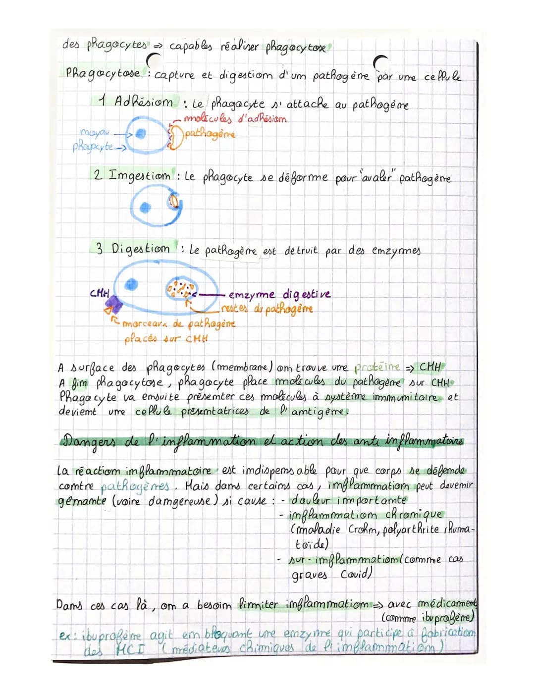 Intro
"Microbes"
micro orgamisme: orgamisme ou être vivamt visible umiquement au
microscope
:
paroi des vs
bacterie umicellulaire et procary