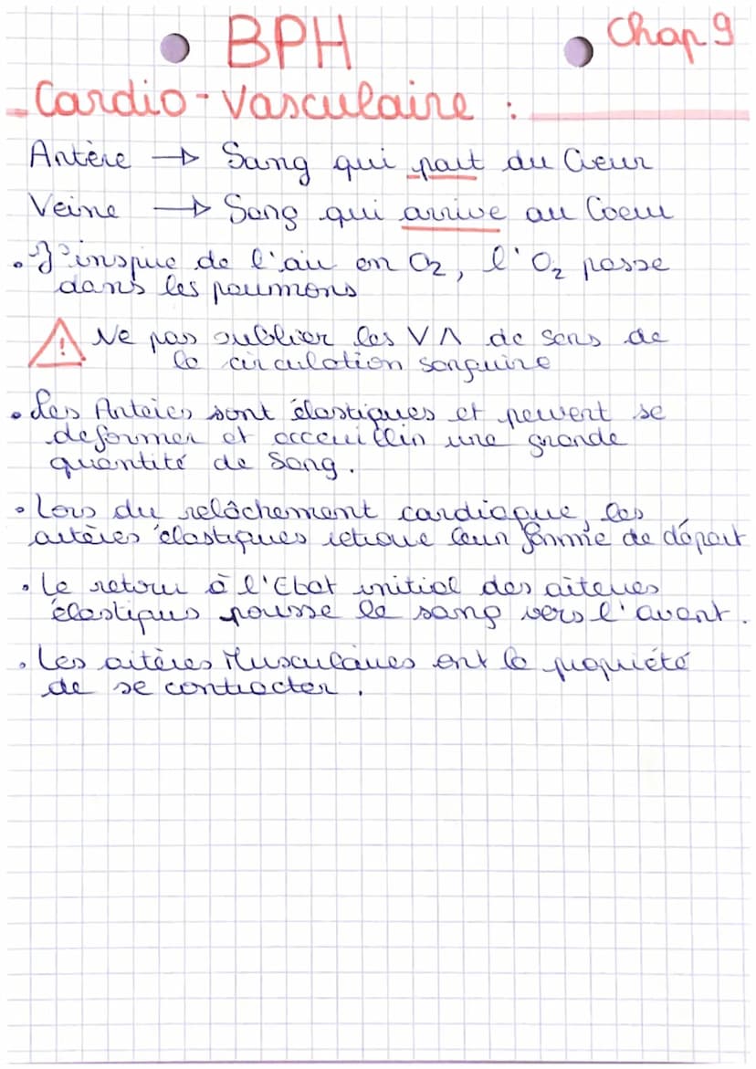 • BPH
Cardio-Vasculaire
Schema; appareil Cardio-Vasculaire =
Jinspue
•Au=02
Antere Pulmonaire
Coeur
(droit)
Oneillette
droite
veine hepatiqu
