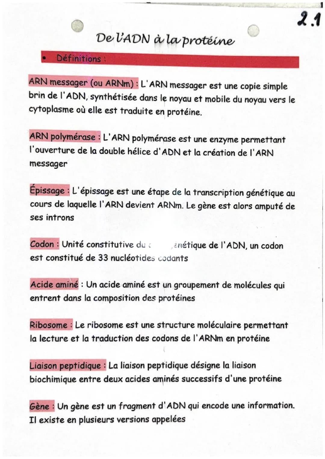 De l'ADN à la protéine
Définitions :
ARN messager (ou ARNm): L'ARN messager est une copie simple
brin de l'ADN, synthétisée dans le noyau et