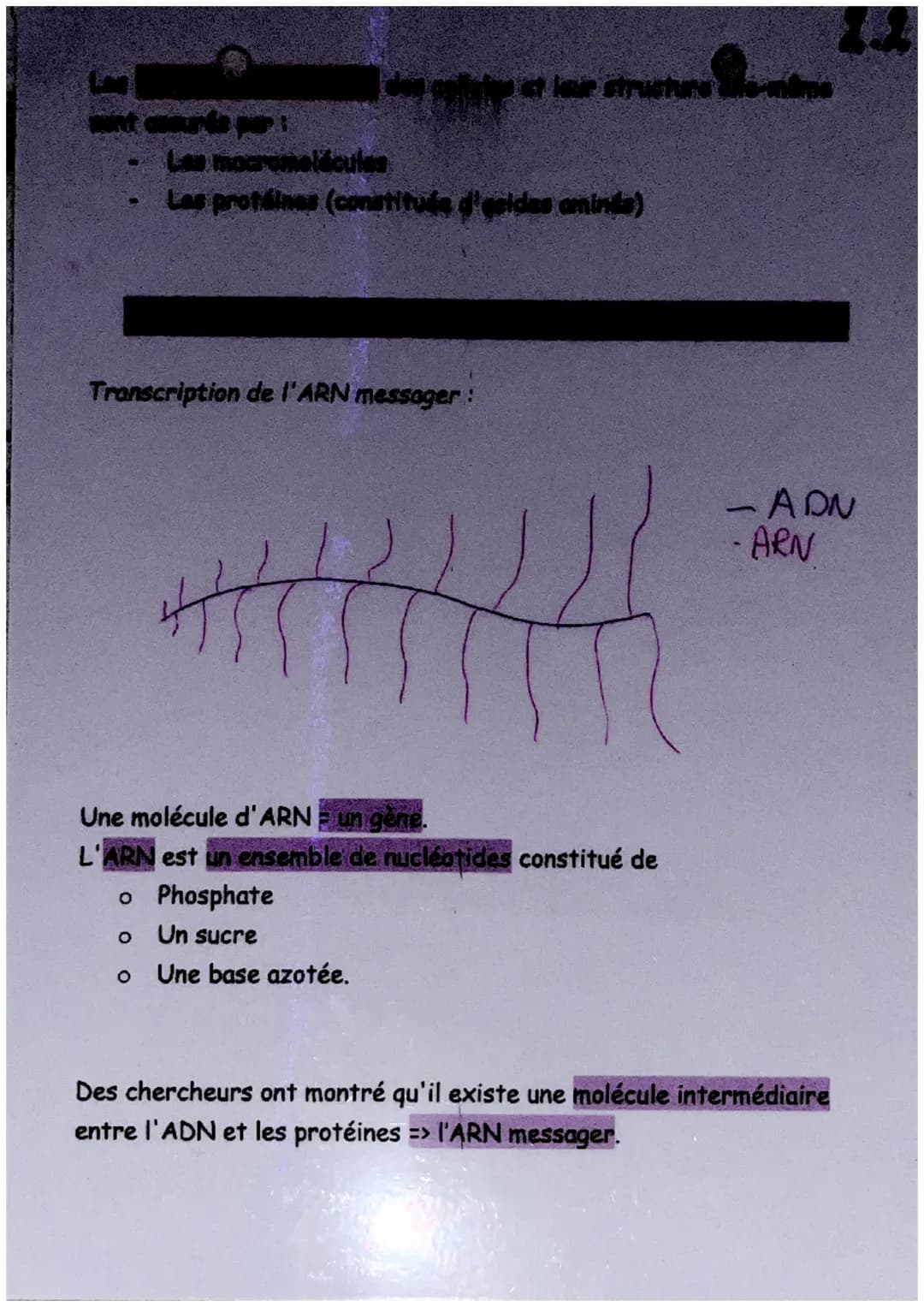 De l'ADN à la protéine
Définitions :
ARN messager (ou ARNm): L'ARN messager est une copie simple
brin de l'ADN, synthétisée dans le noyau et