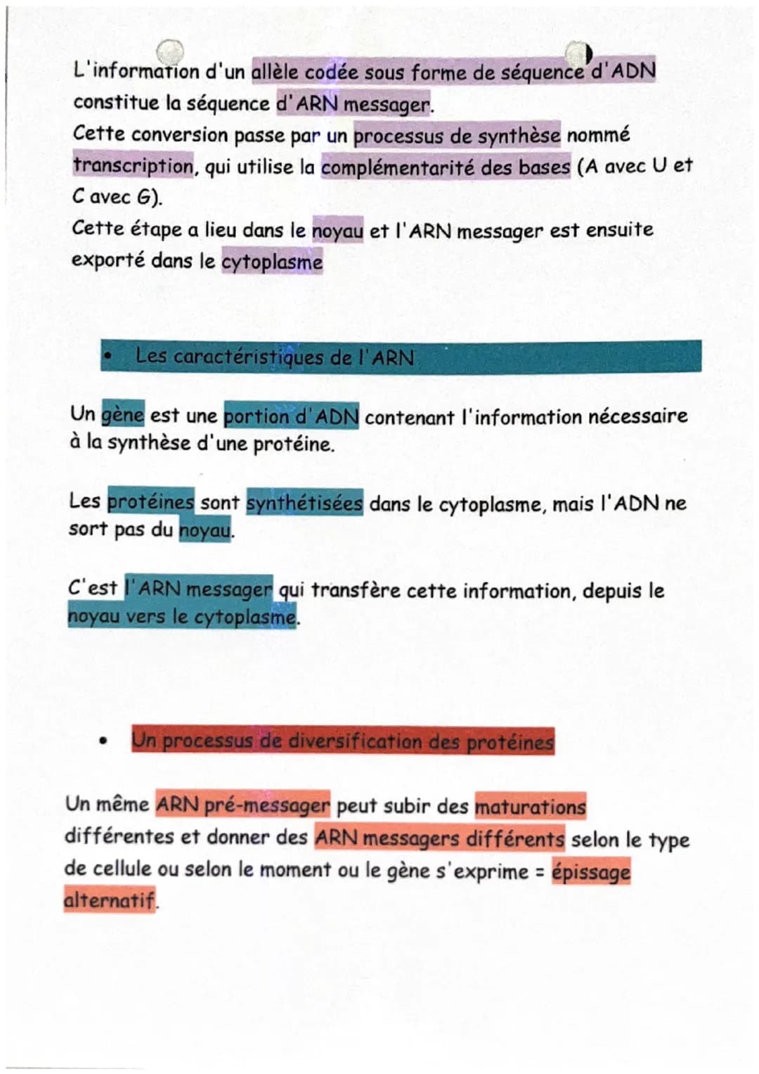 De l'ADN à la protéine
Définitions :
ARN messager (ou ARNm): L'ARN messager est une copie simple
brin de l'ADN, synthétisée dans le noyau et