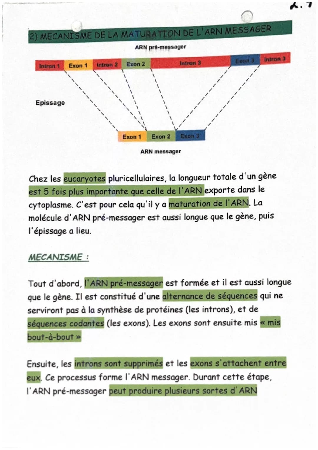 De l'ADN à la protéine
Définitions :
ARN messager (ou ARNm): L'ARN messager est une copie simple
brin de l'ADN, synthétisée dans le noyau et