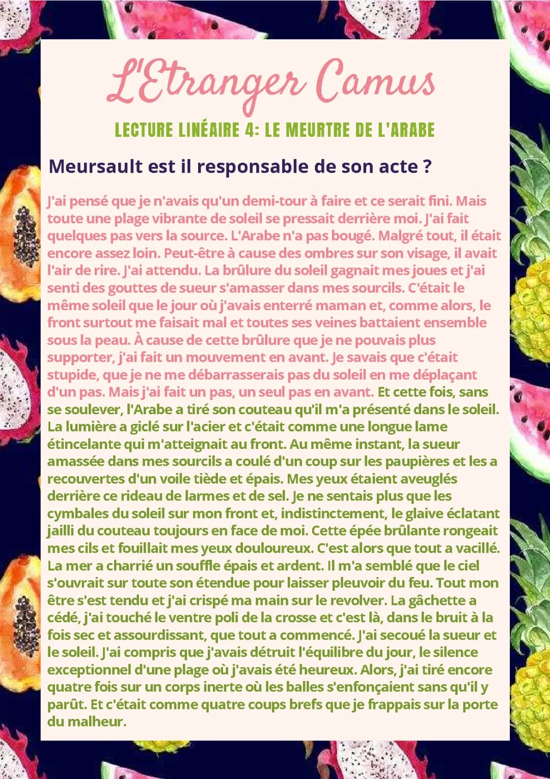 Le meurtre de l'Arabe Flaubert