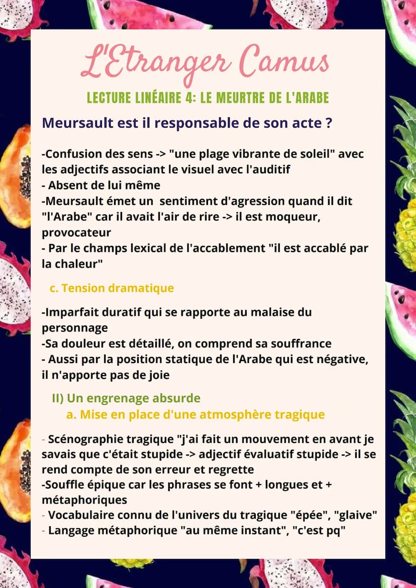 L'Etranger Camus
LECTURE LINÉAIRE 4: LE MEURTRE DE L'ARABE
Meursault est il responsable de son acte?
J'ai pensé que je n'avais qu'un demi-to