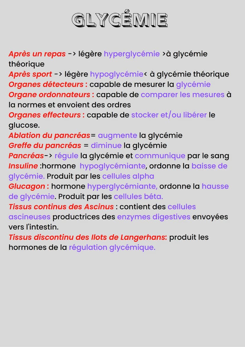 GLYCÉMIE
Glycémie : taux de glucose dans le sang
Muscle -> surconsomme le sucre et l'02 pour produire énergie
Besoin en 02 et glucose -> fou