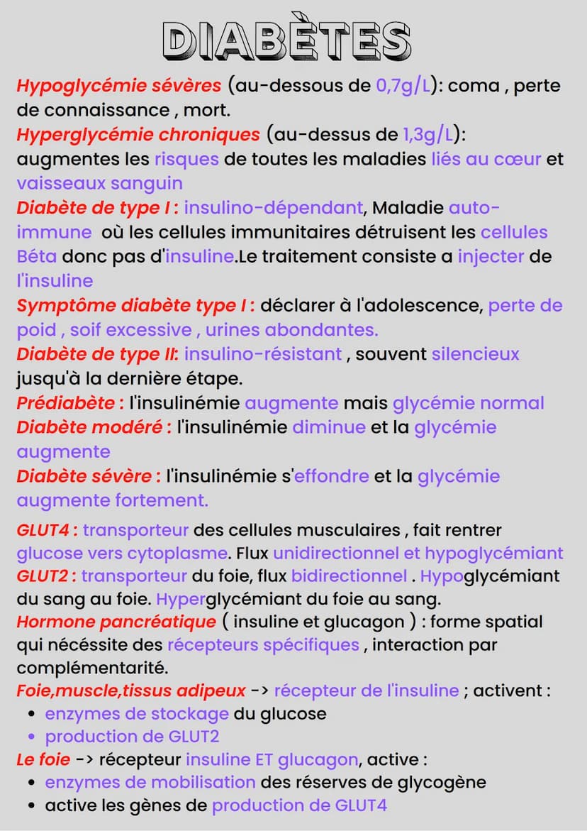 GLYCÉMIE
Glycémie : taux de glucose dans le sang
Muscle -> surconsomme le sucre et l'02 pour produire énergie
Besoin en 02 et glucose -> fou