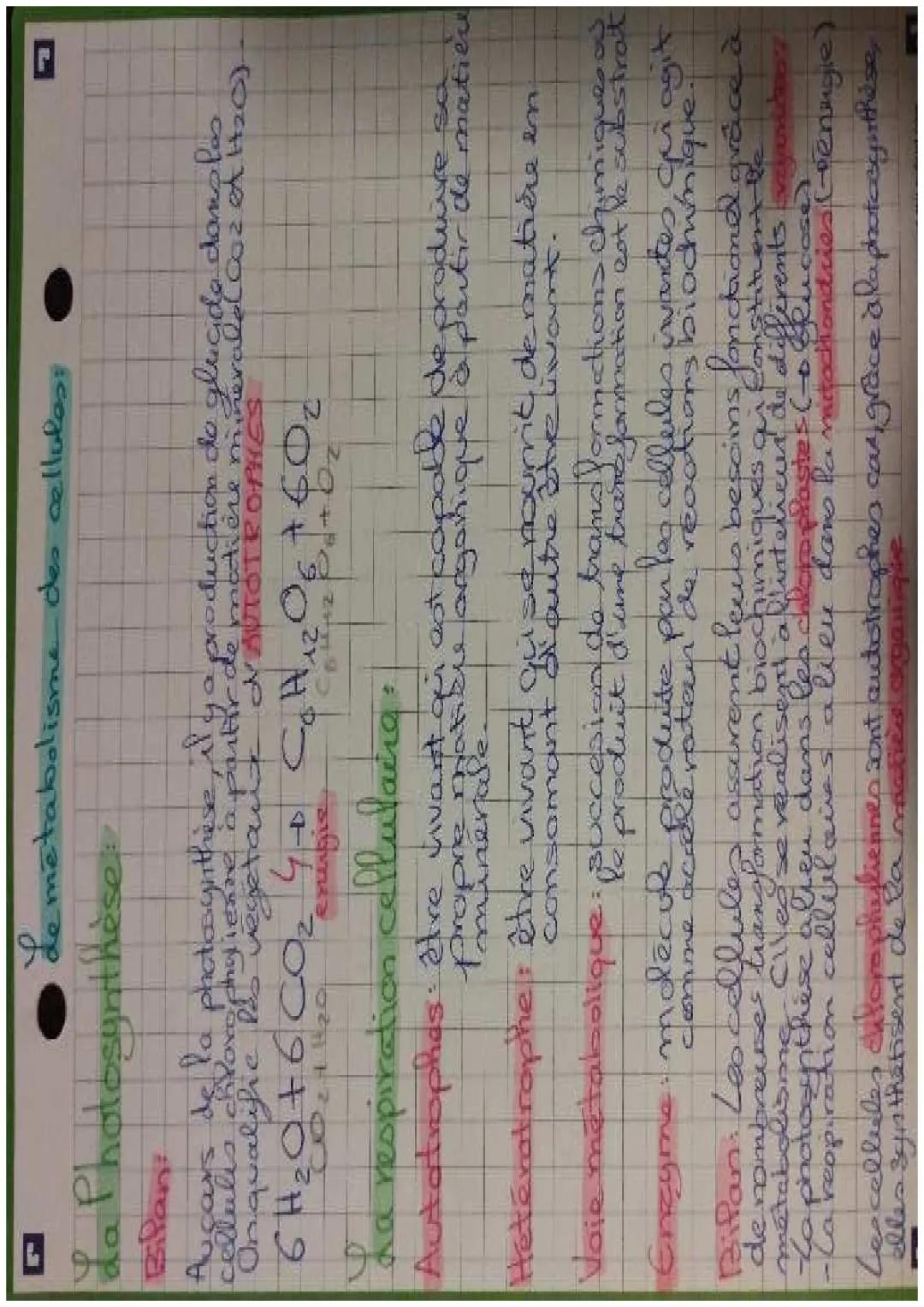 Le métabolisme des cellules/ Photosynthèse/ La respiration cellulaire 