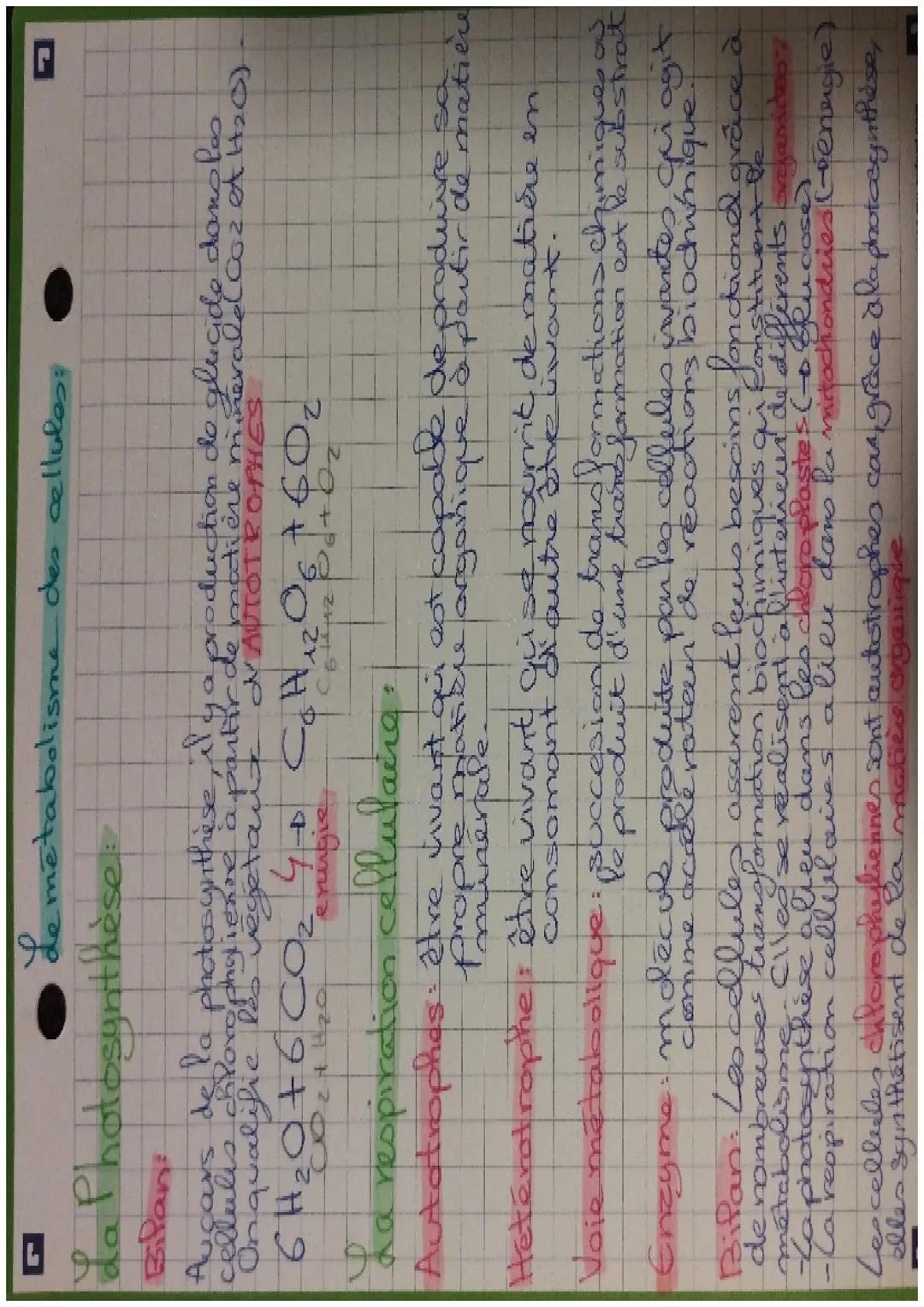 elles synthetisent de la maties organique
do sadaya pa ay foyd a copp
alieu dans la mitochondries (tenagie)
La photosynthèse a lieu dans les