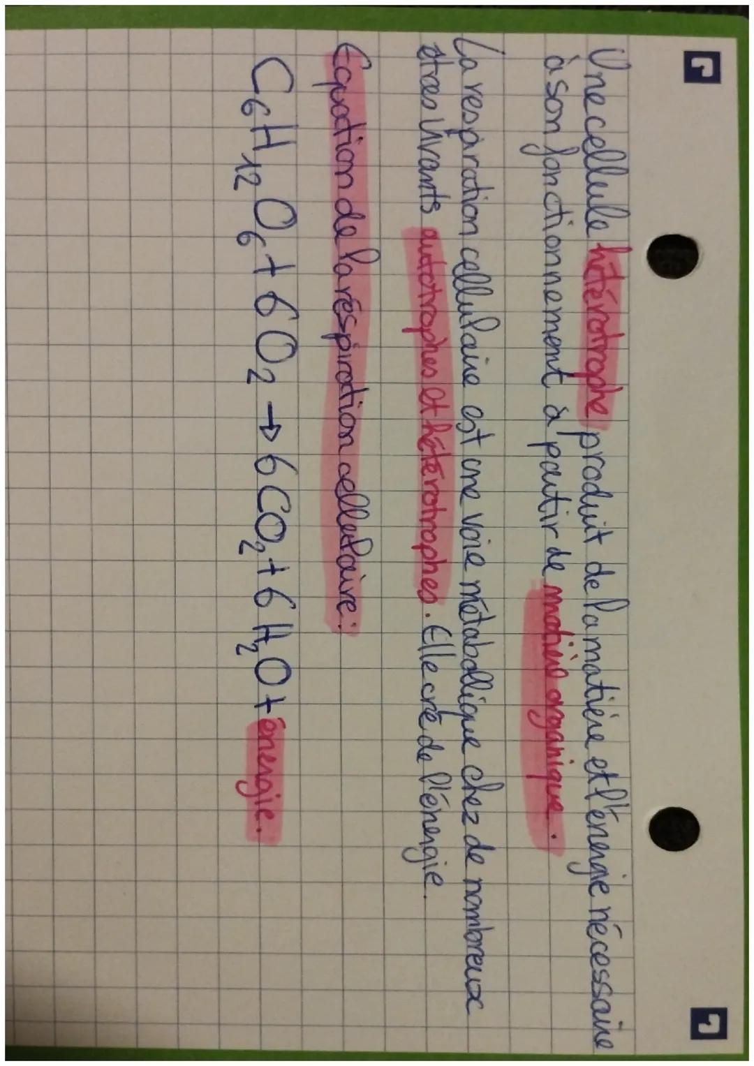 elles synthetisent de la maties organique
do sadaya pa ay foyd a copp
alieu dans la mitochondries (tenagie)
La photosynthèse a lieu dans les