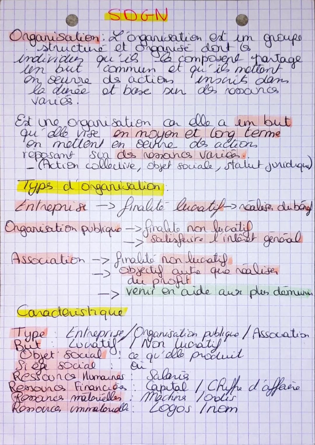 Comprendre les Types d'Organisation STMG et leurs Caractéristiques