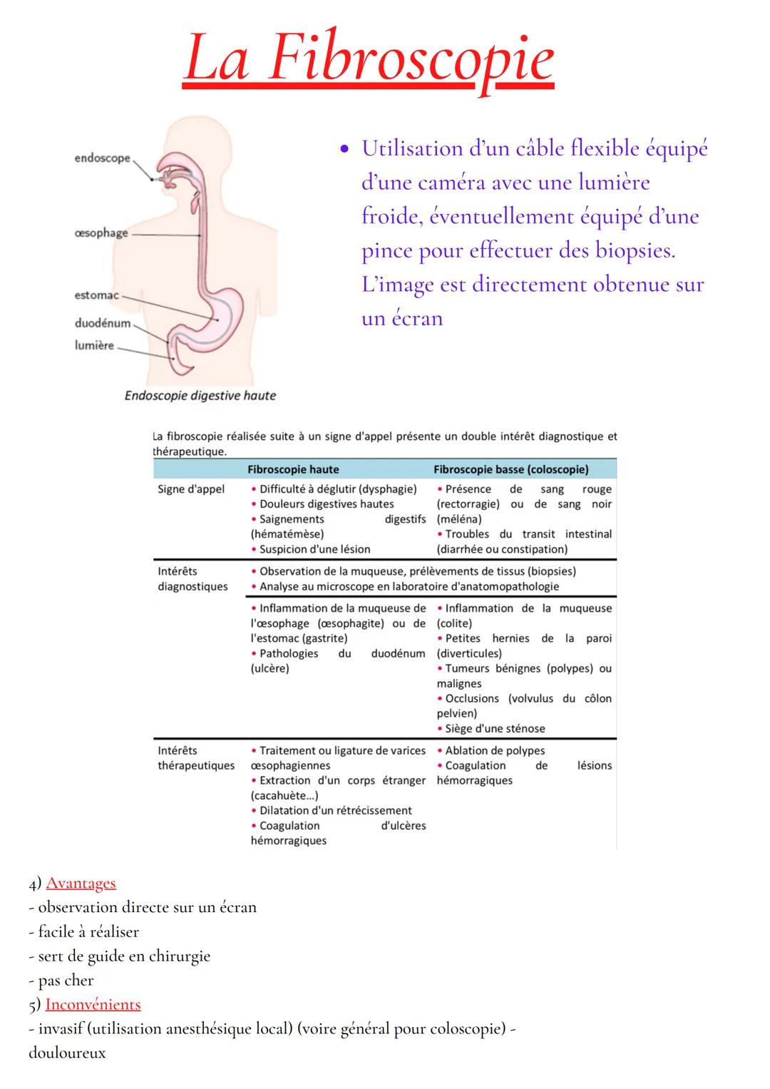 Anatomie et physiologie de l'appareil digestif
Organisation de l'appareil digestif
Traverse 3 cavités
- cavité buccale
- cavité thoracique
-