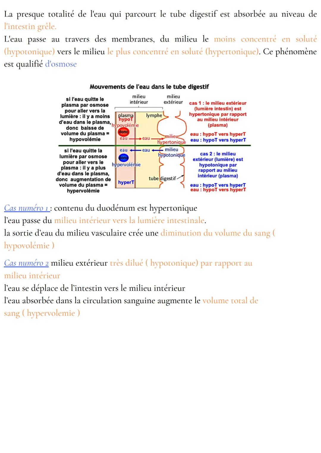 Anatomie et physiologie de l'appareil digestif
Organisation de l'appareil digestif
Traverse 3 cavités
- cavité buccale
- cavité thoracique
-