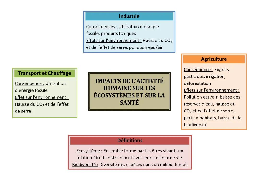 Impact des Activités Humaines sur l'Écosystème et la Biodiversité - SVT 5ème PDF