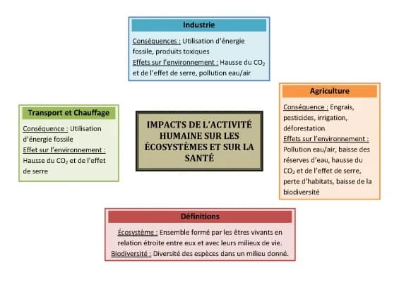 Know IMPACTS DE L’ACTIVITÉ HUMAINE SUR LES ÉCOSYSTÈMES ET SUR LA SANTÉ thumbnail