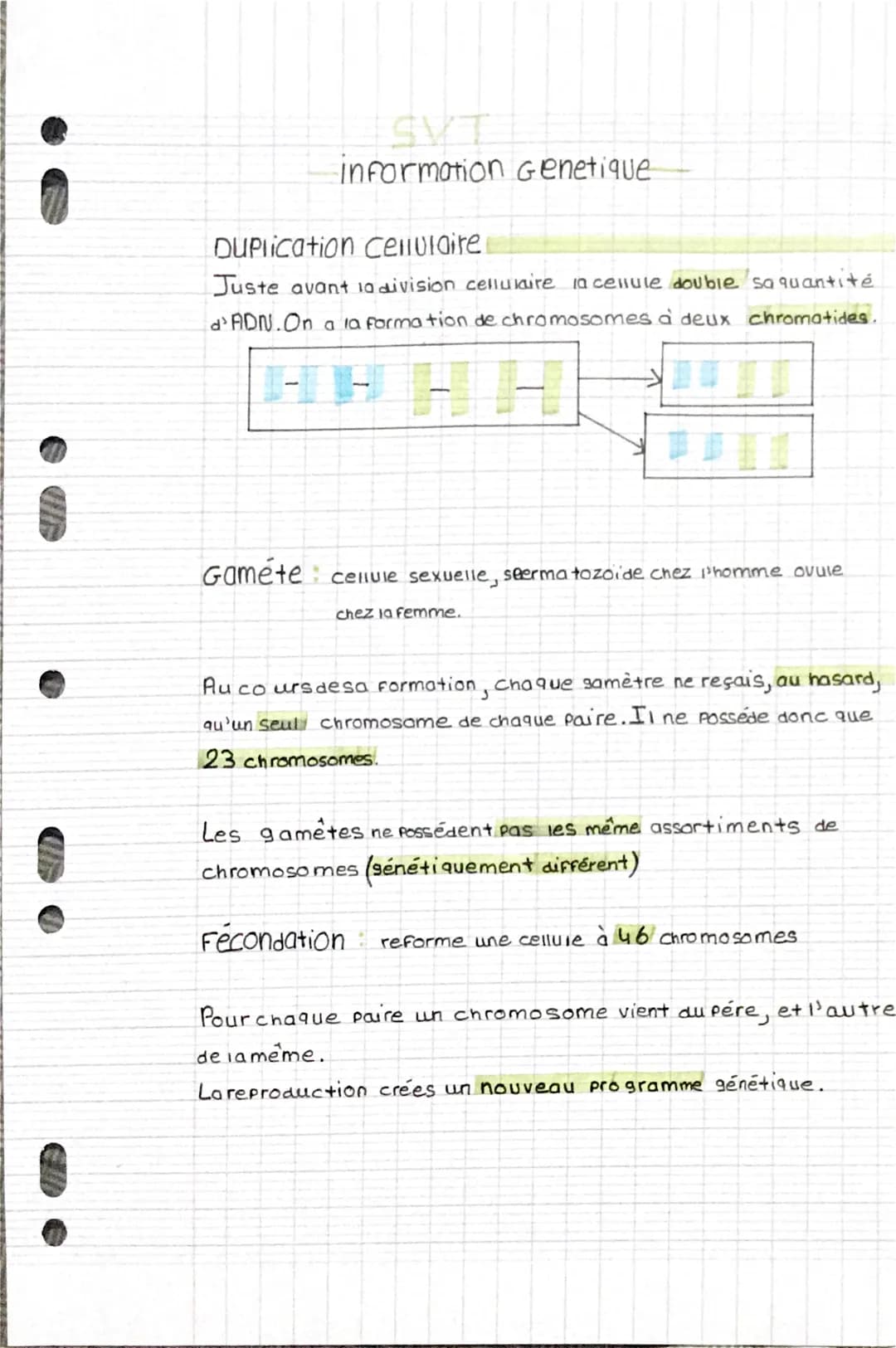 information Genetique
DUPlication Cellulaire
Juste avant la division cellulaire la cellule double sa quantité
d'ADN.On a la formation de chr